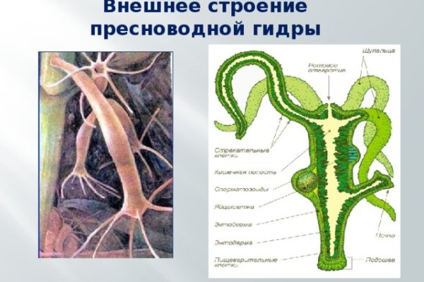 Кракен сайт ссылка kr2web in