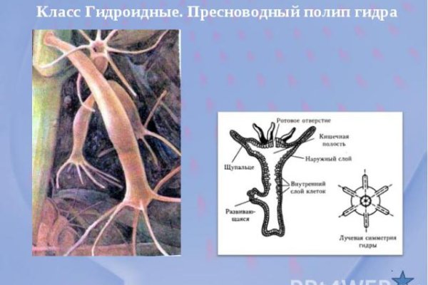 Кракен сайт пишет пользователь не найден