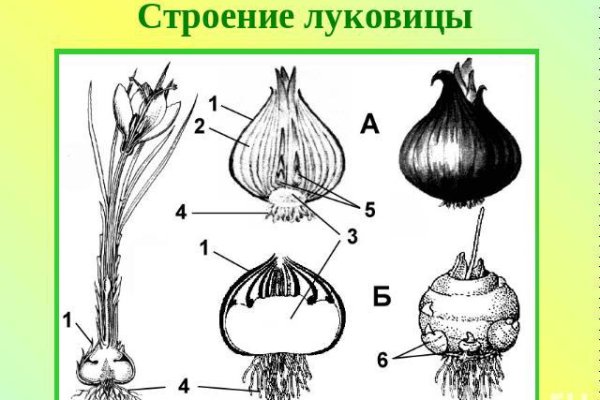 Кракен перейти
