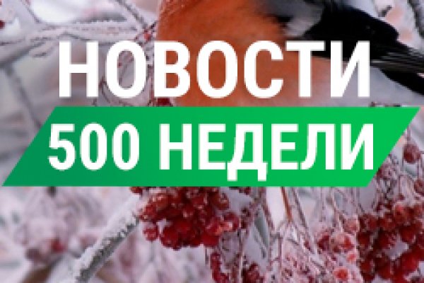 Kraken актуальное