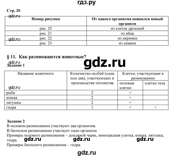 Кракен почему не заходит